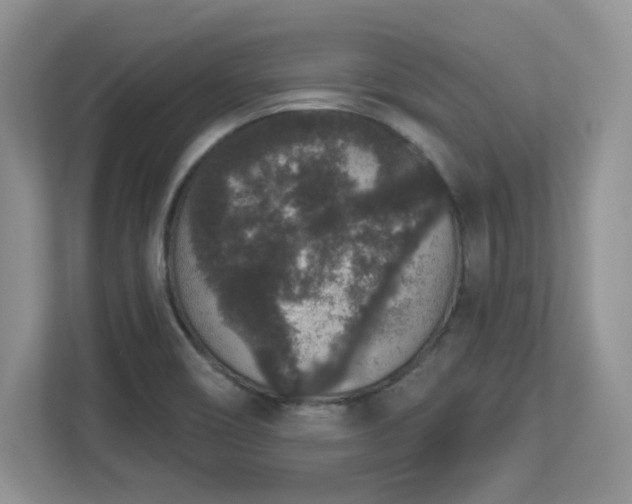 X0000112861466200908211311