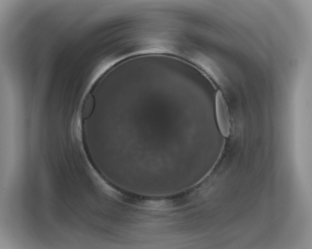 X0000112861468200908211311