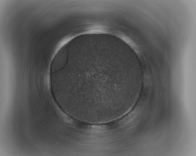 X0000112861469200908211311