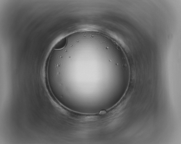 X0000112861471200908211311
