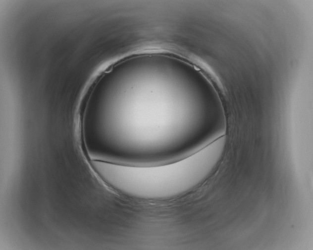 X0000112861472200908211311