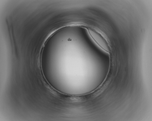 X0000112861473200908211311