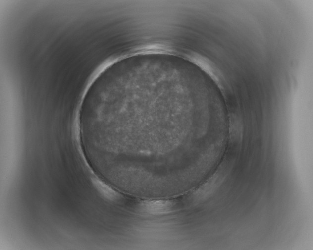 X0000112861474200908211311