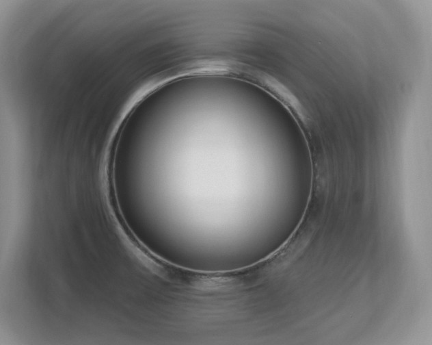 X0000112861475200908211311