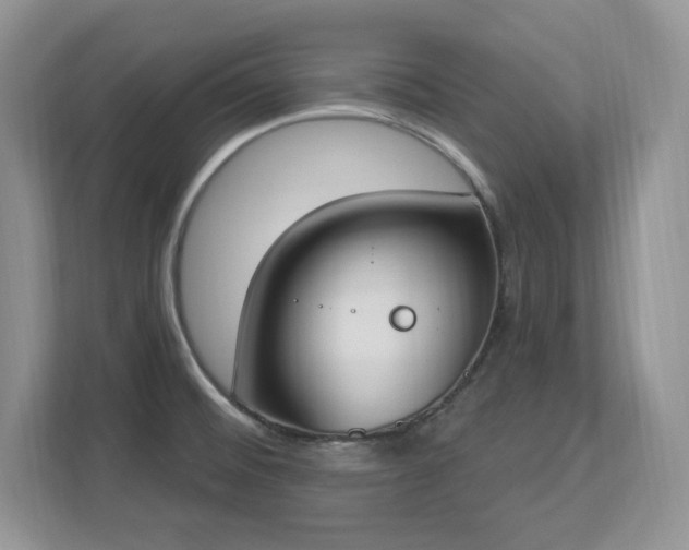 X0000112861476200908211311