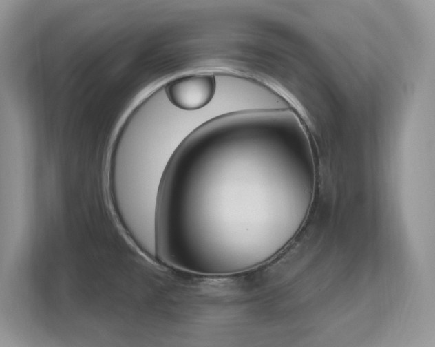 X0000112861477200908211311