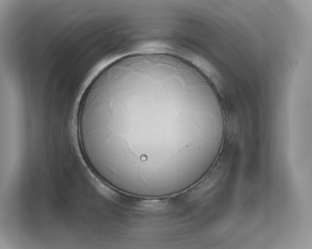 X0000112861478200908211311