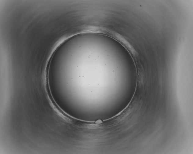 X0000112861479200908211311