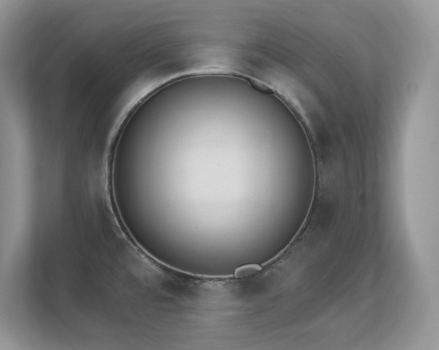 X0000112861480200908211311