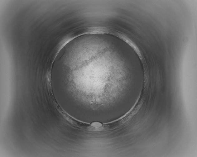 X0000112861481200908211311