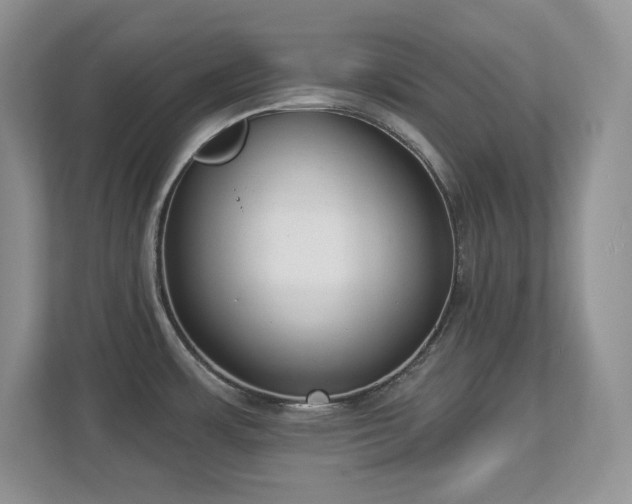 X0000112861483200908211311