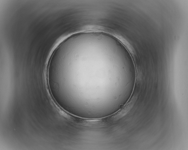 X0000112861486200908211311