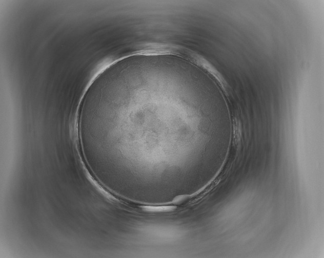 X0000112861487200908211310