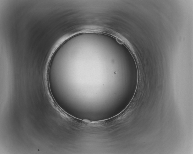 X0000112861488200908211310