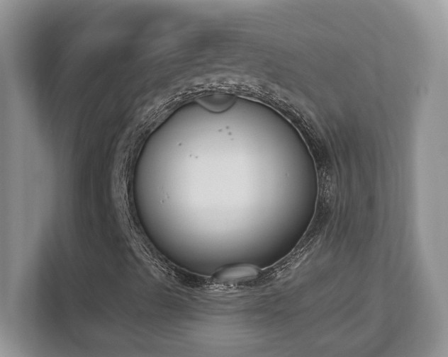 X0000112861489200908211310