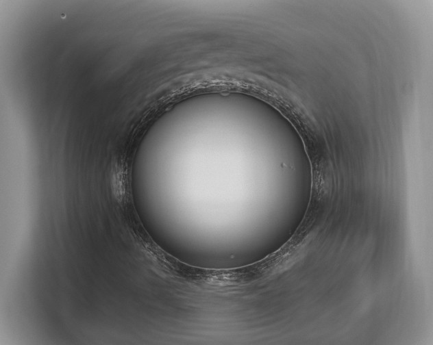 X0000112861490200908211310