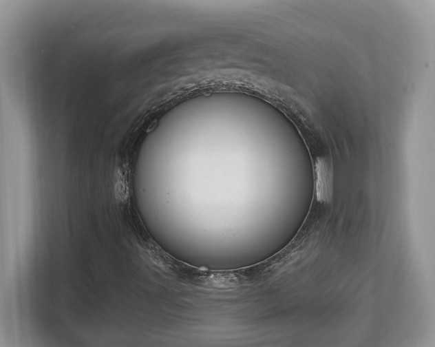 X0000112861491200908211310