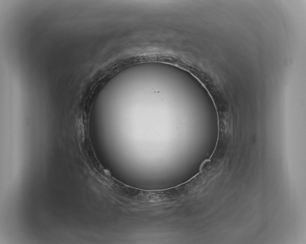 X0000112861493200908211310