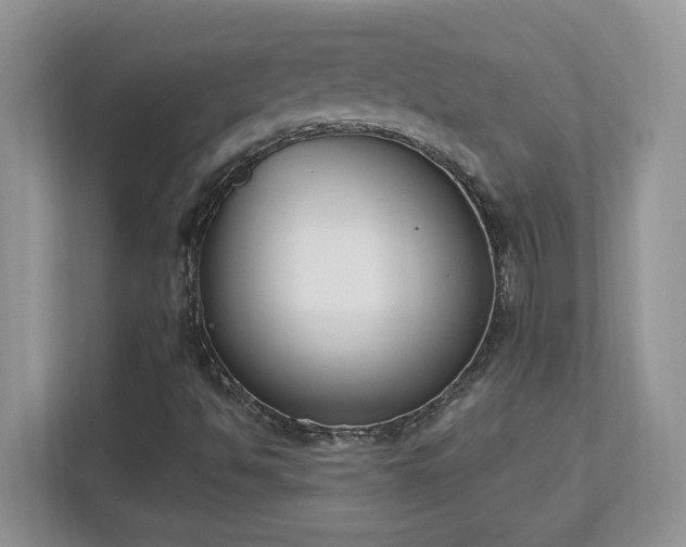 X0000112861494200908211310