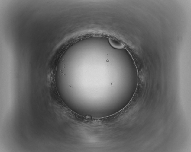 X0000112861495200908211310