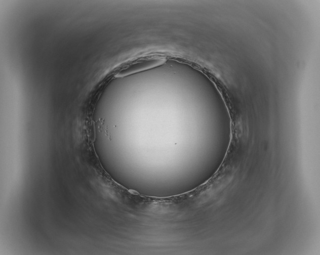 X0000112861496200908211310