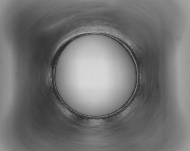 X0000112861498200908211310