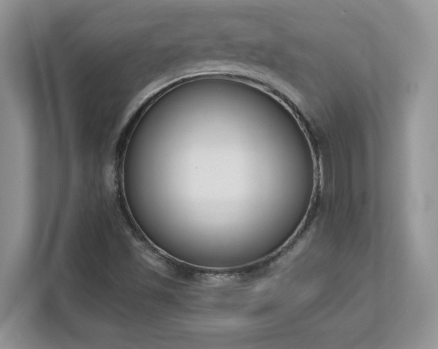 X0000112861501200908211310