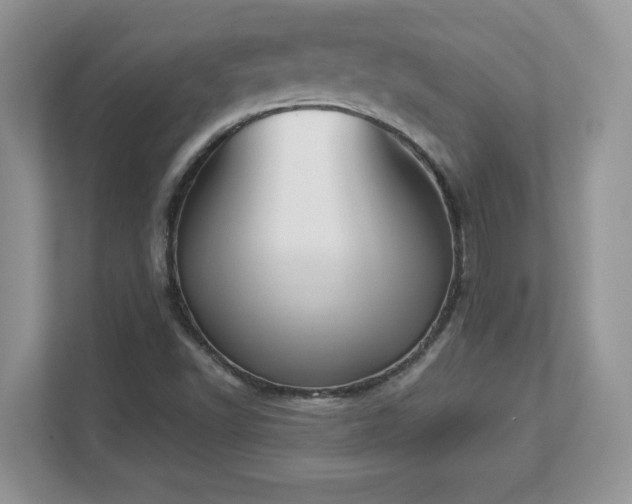 X0000112861502200908211310