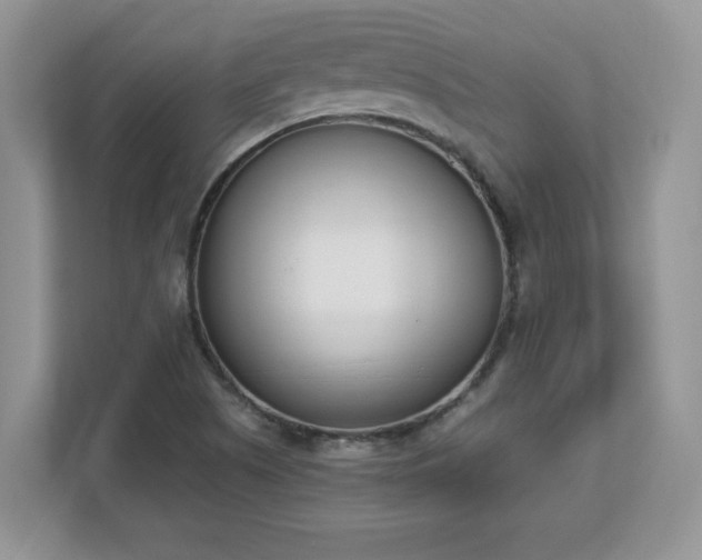 X0000112861505200908211310