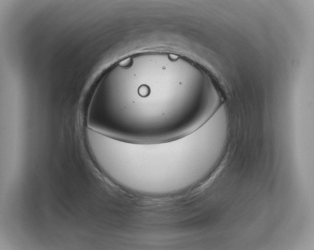 X0000112861506200908211310