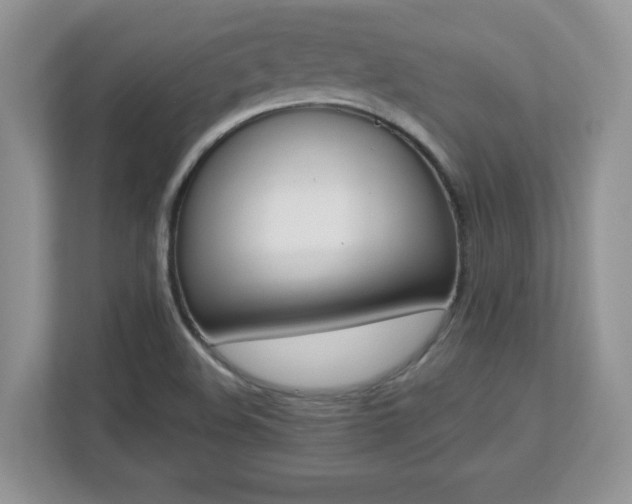 X0000112861508200908211310