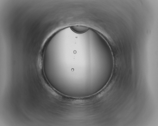 X0000112861510200908211310