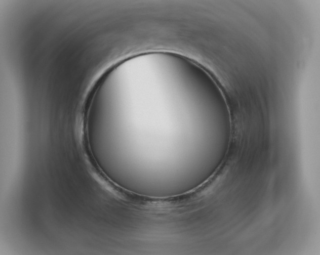 X0000112861511200908211310