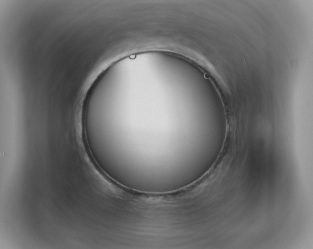 X0000112861512200908211310