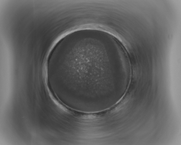 X0000112861515200908211310
