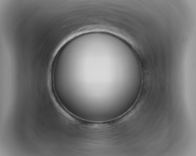 X0000112861518200908211310