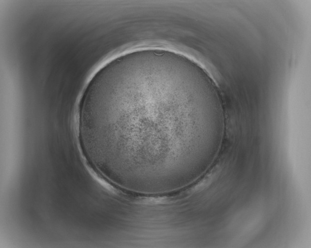 X0000112861519200908211310