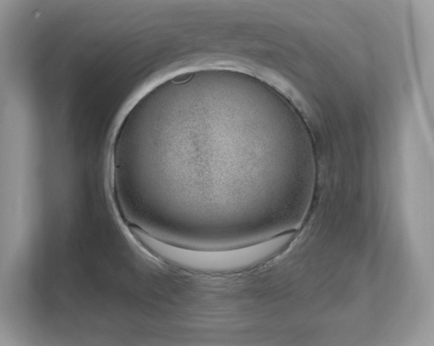 X0000112861520200908211310