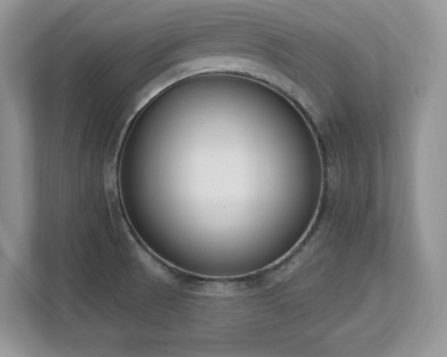 X0000112861521200908211310