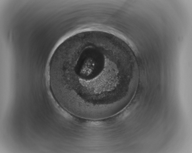 X0000112861522200908211310