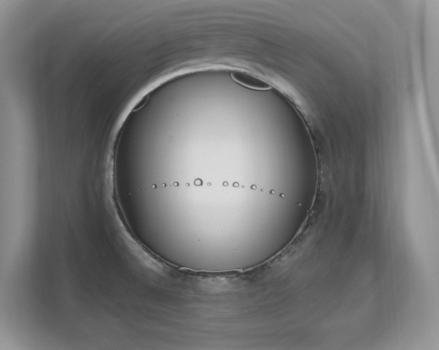 X0000112861524200908211310