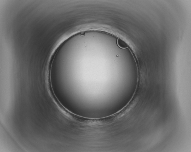 X0000112861525200908211310