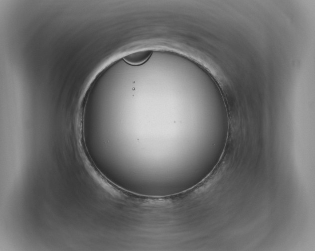 X0000112861526200908211310