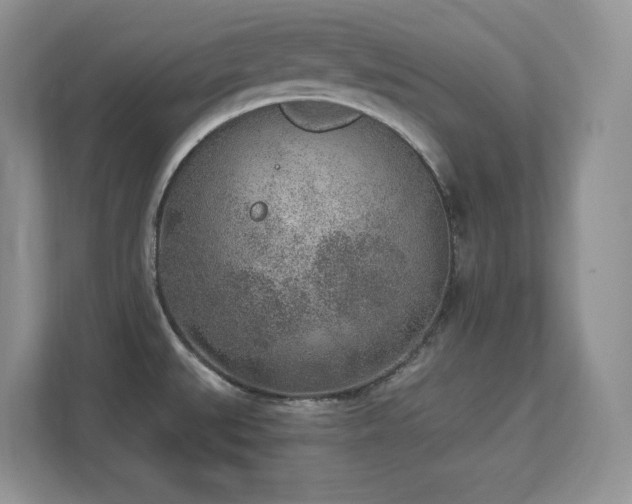 X0000112861527200908211310