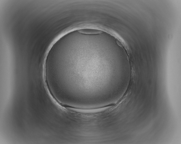 X0000112861528200908211310