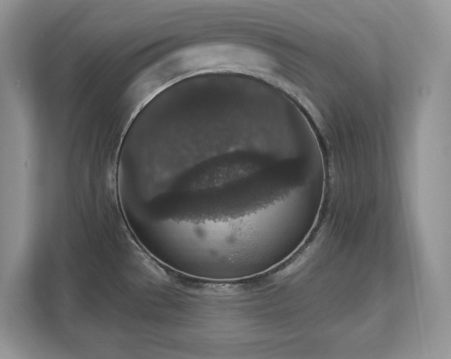 X0000112861529200908211310