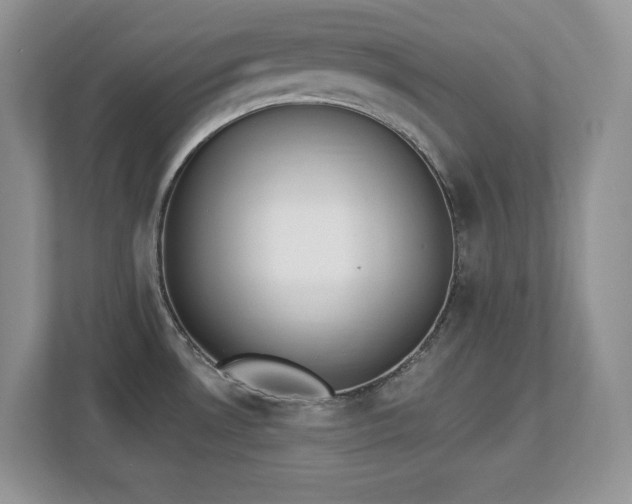 X0000112861530200908211310