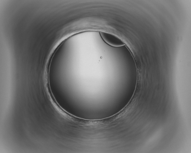 X0000112861531200908211310