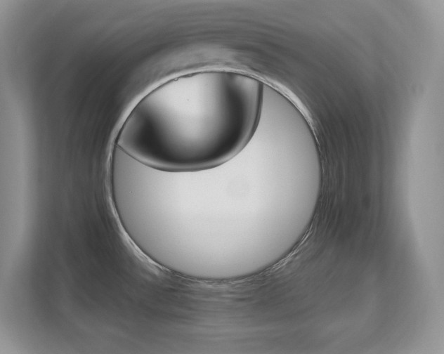 X0000112861532200908211310
