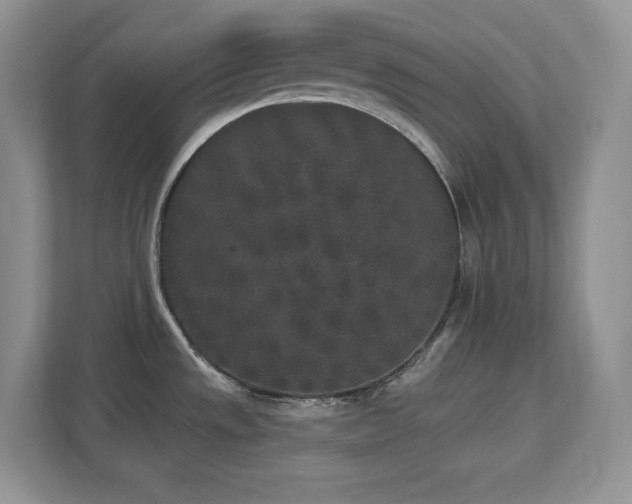X0000112861533200908211310